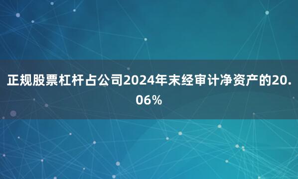 正规股票杠杆占公司2024年末经审计净资产的20.06%
