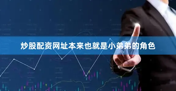 炒股配资网址本来也就是小弟弟的角色