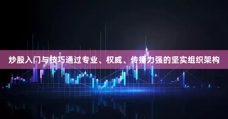 炒股入门与技巧通过专业、权威、传播力强的坚实组织架构
