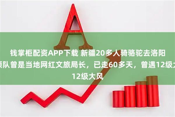 钱掌柜配资APP下载 新疆20多人骑骆驼去洛阳，领队曾是当地网红文旅局长，已走60多天，曾遇12级大风