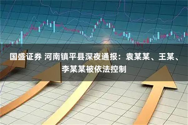 国盛证券 河南镇平县深夜通报：袁某某、王某、李某某被依法控制